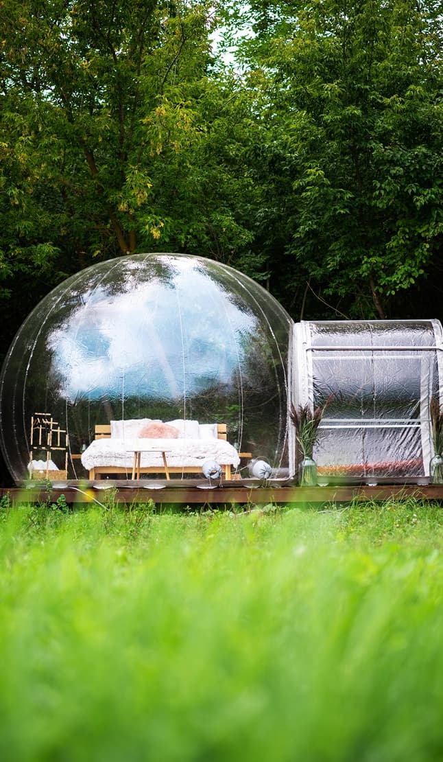 DodoLodge — deux bulles d'hébergement transparentes installées dans une clairière herbeuse, entourées d'arbres.
